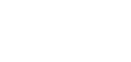 Insurance Hawk Logo (white)